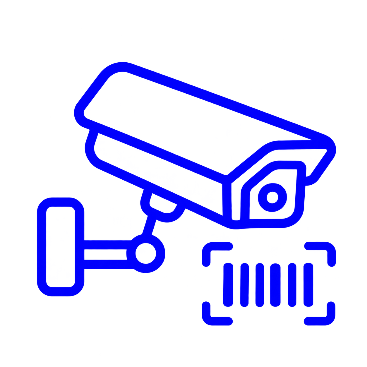 Seguridad y captura de datos